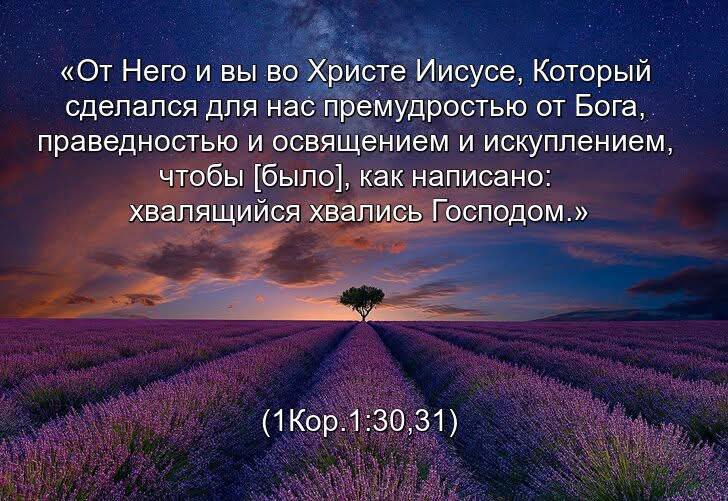 Только Одна Святая Земля.